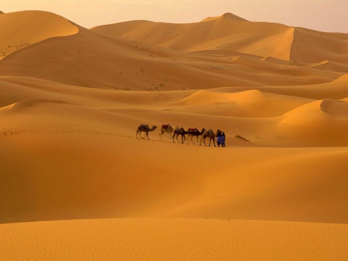 Beautiful Dunes (34 pics)
