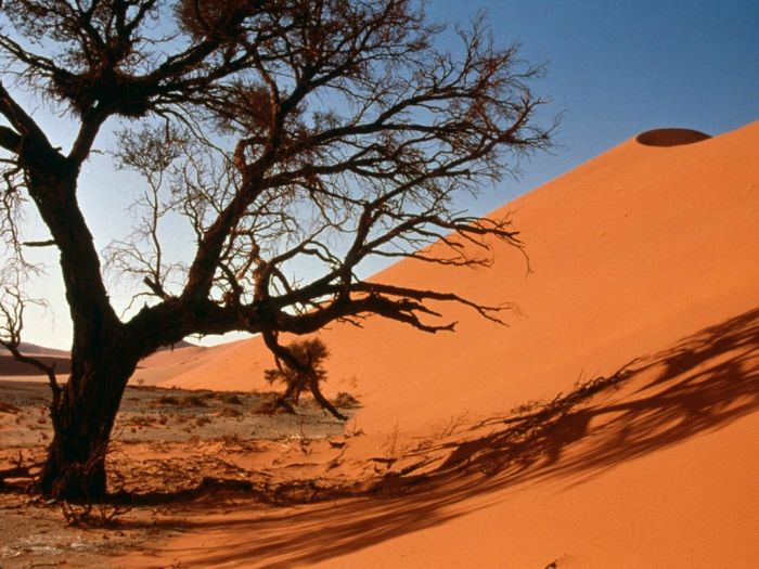 Beautiful Dunes (34 pics)