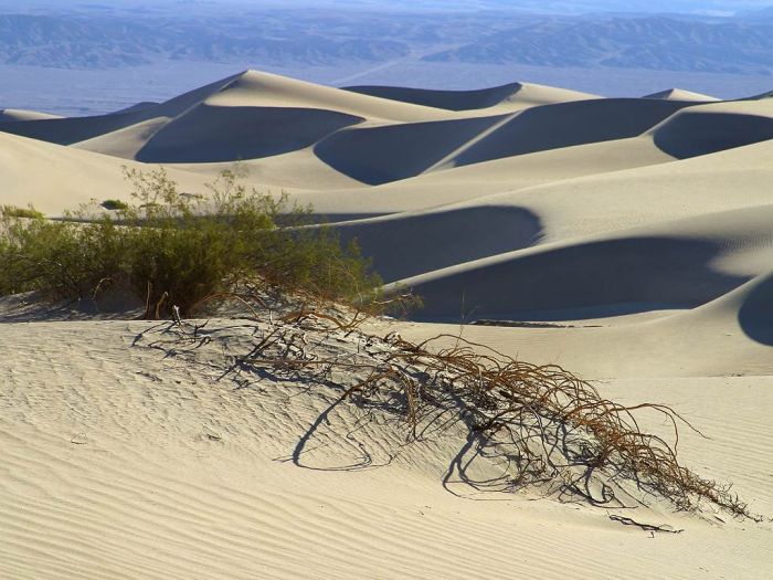 Beautiful Dunes (34 pics)