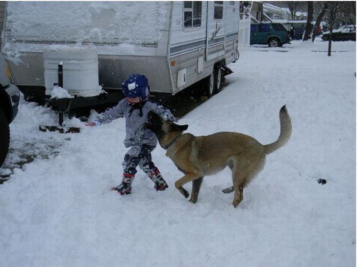Lucas Hembree and his dog Juno (23 pics)