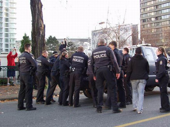 18 Month Old Bear Cub Captured In Down Town Vancouver (14 pics + video)