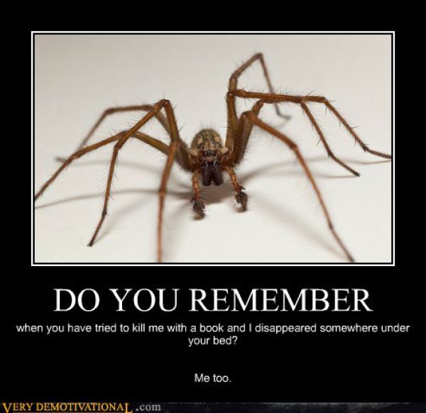 Funny Demotivational Posters (32 pics)