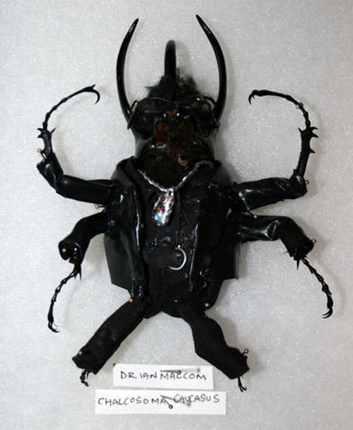 Giant Beetles In “Jurassic Park” Costumes (12 pics)