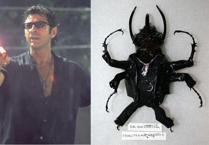 Giant Beetles In “Jurassic Park” Costumes (12 pics)