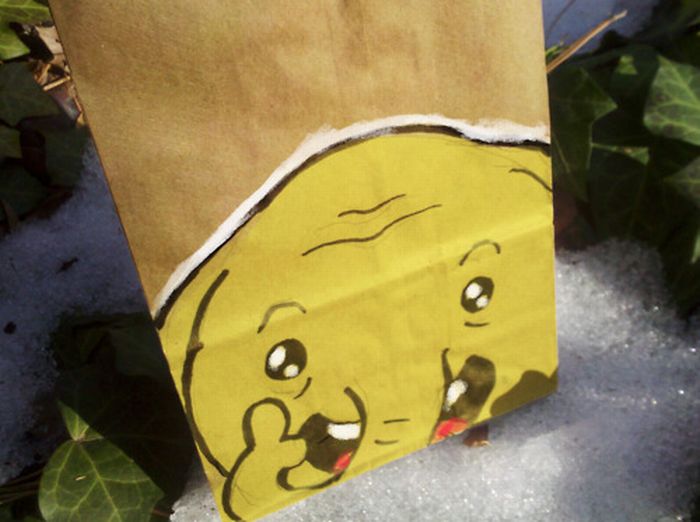 Lunch Bag Art (100 pics)