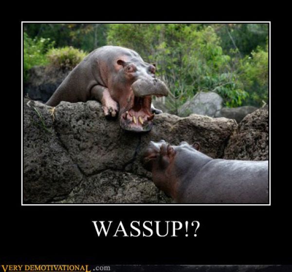 Funny Demotivational Posters (32 pics)