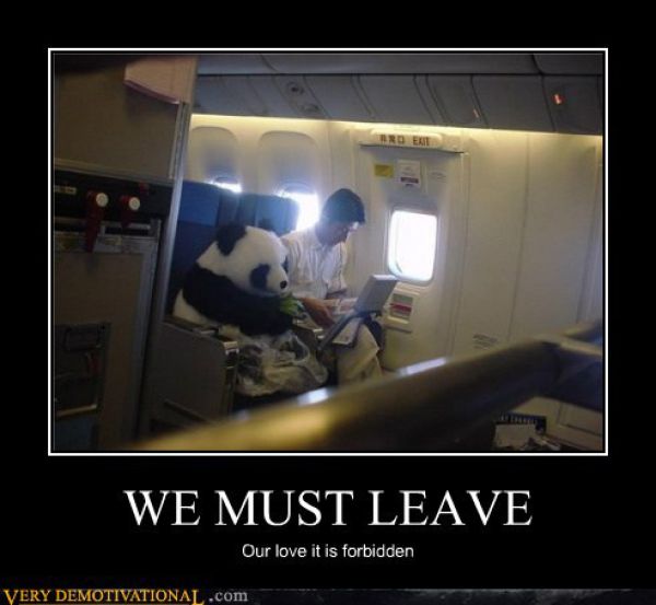 Funny Demotivational Posters (32 pics)