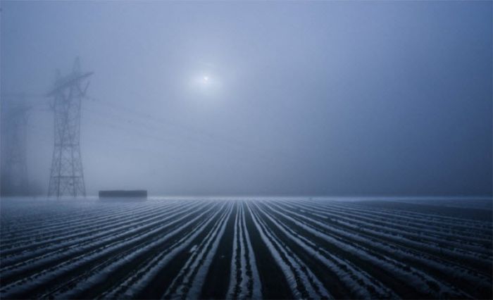 Fog (101 pics)