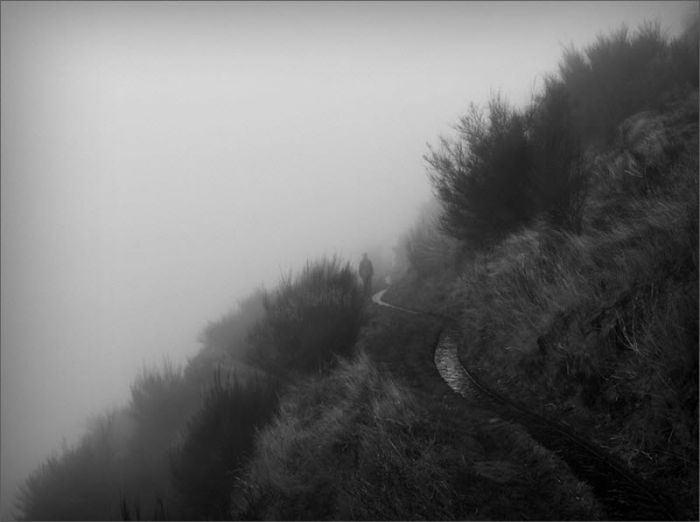 Fog (101 pics)