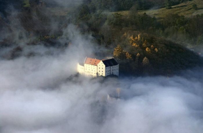 Fog (101 pics)