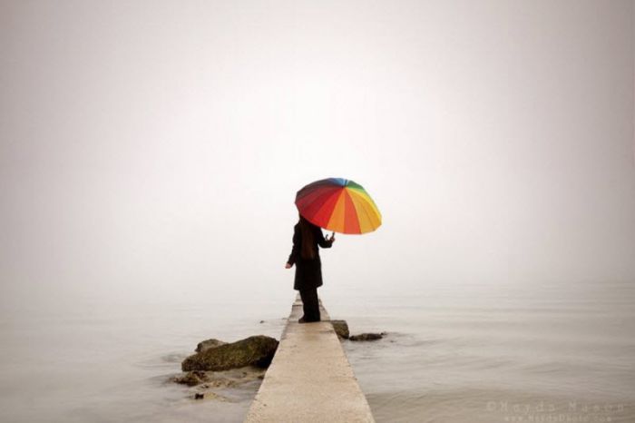Fog (101 pics)