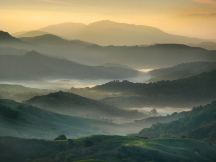 Fog (101 pics)