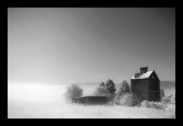 Fog (101 pics)