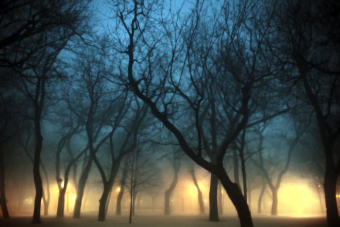 Fog (101 pics)