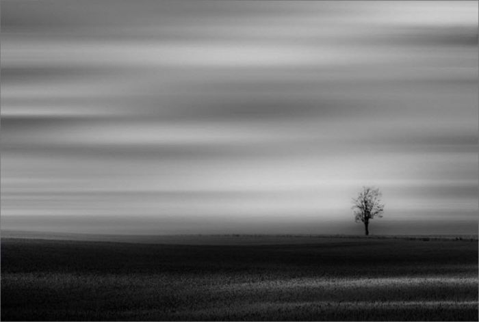 Fog (101 pics)