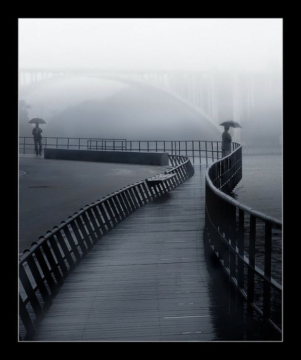 Fog (101 pics)