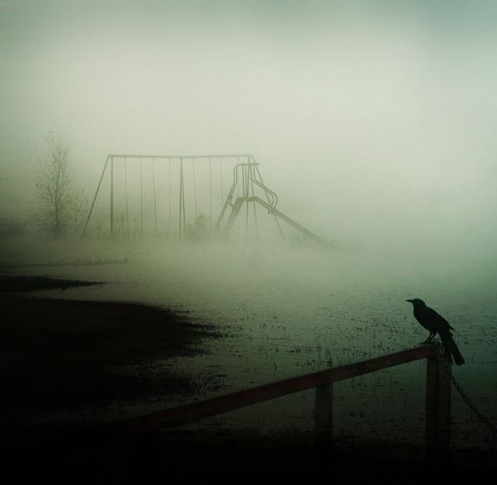 Fog (101 pics)