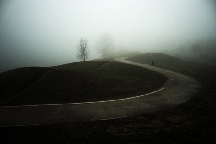 Fog (101 pics)
