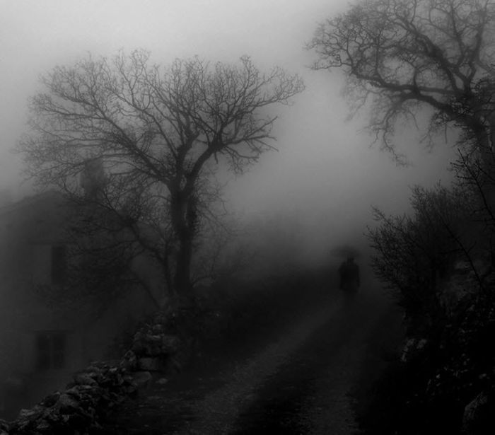 Fog (101 pics)