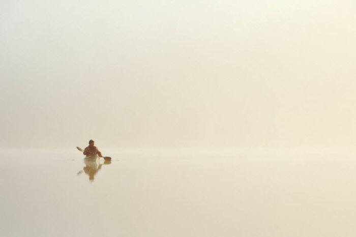 Fog (101 pics)