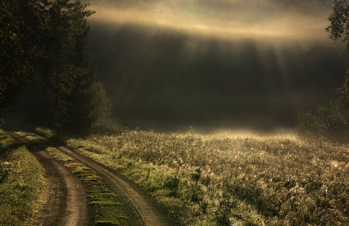 Fog (101 pics)