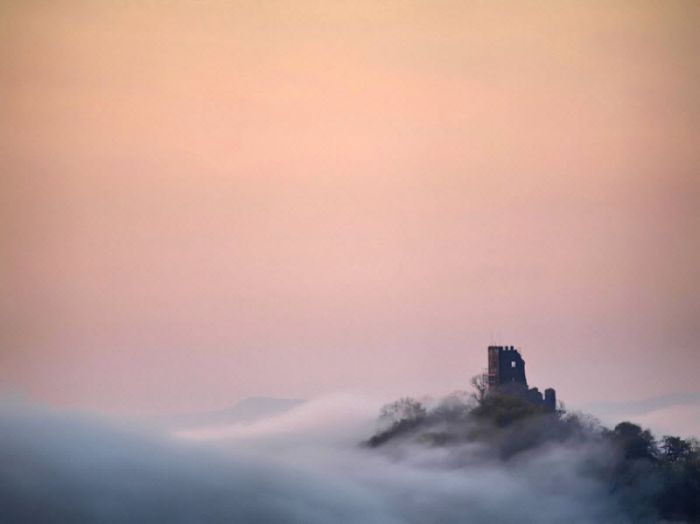 Fog (101 pics)