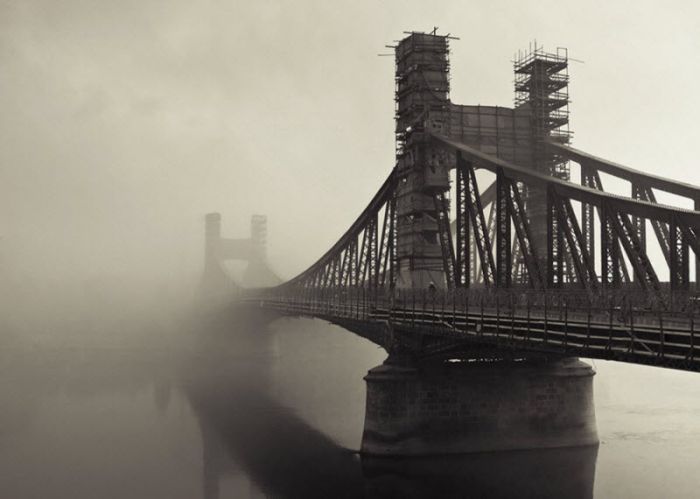 Fog (101 pics)