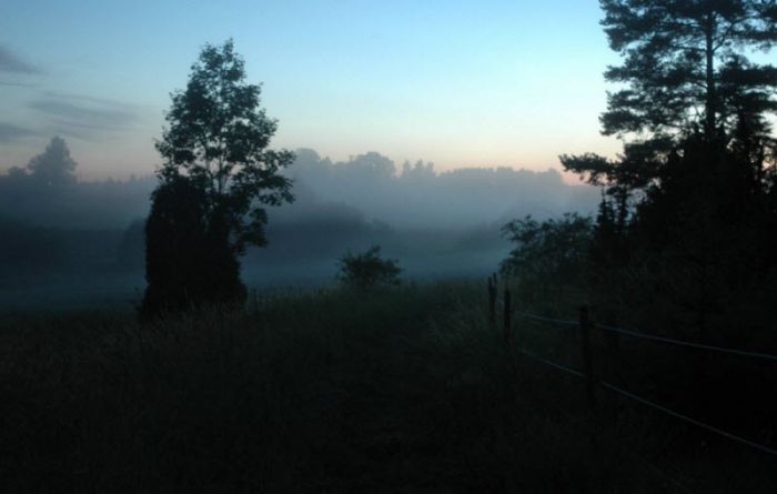 Fog (101 pics)