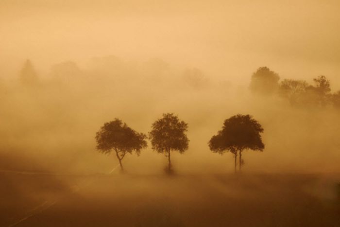 Fog (101 pics)