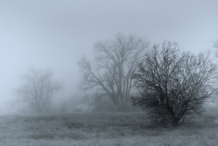 Fog (101 pics)