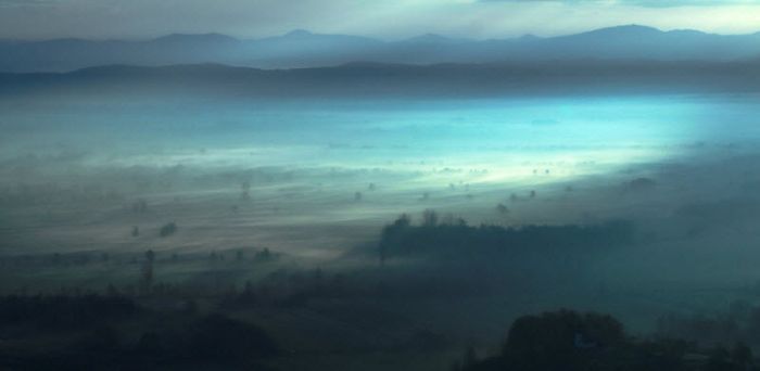 Fog (101 pics)