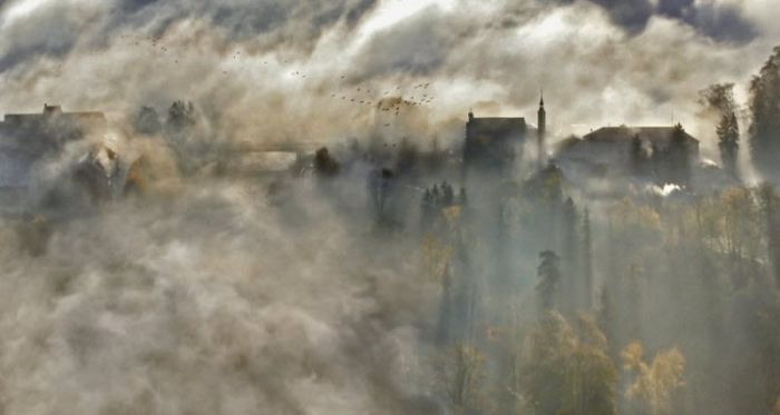 Fog (101 pics)