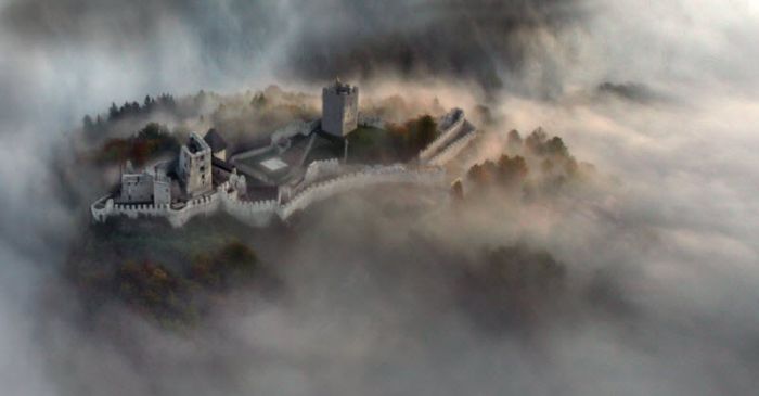 Fog (101 pics)