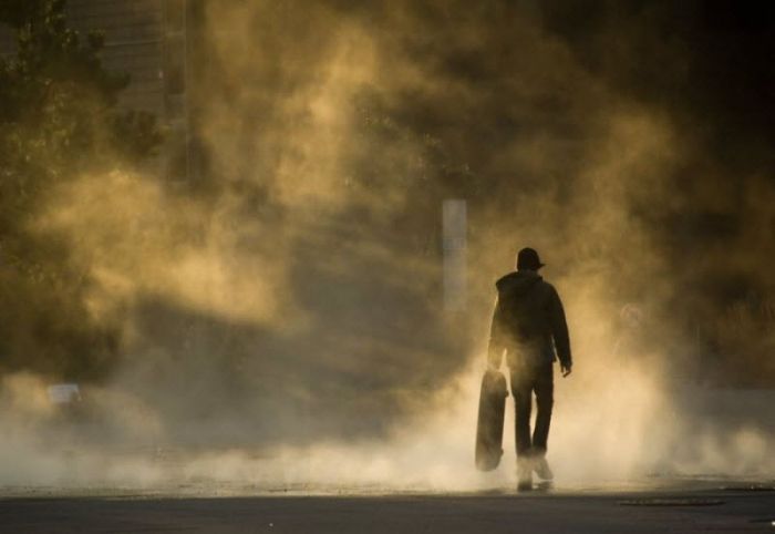 Fog (101 pics)
