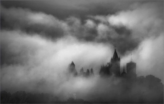 Fog (101 pics)