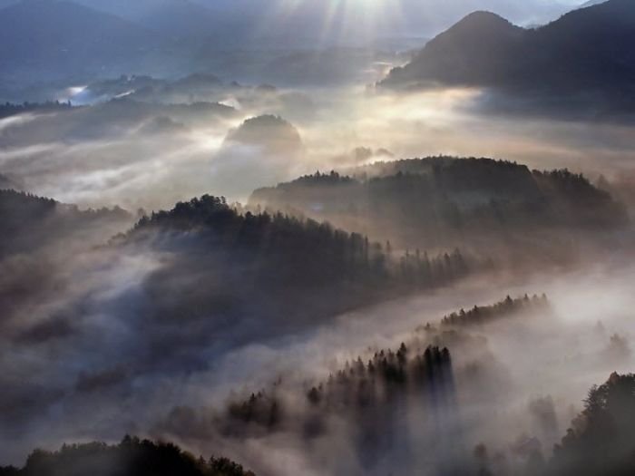 Fog (101 pics)