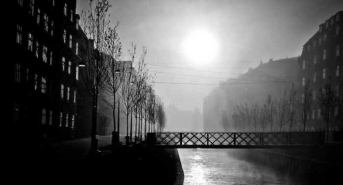 Fog (101 pics)
