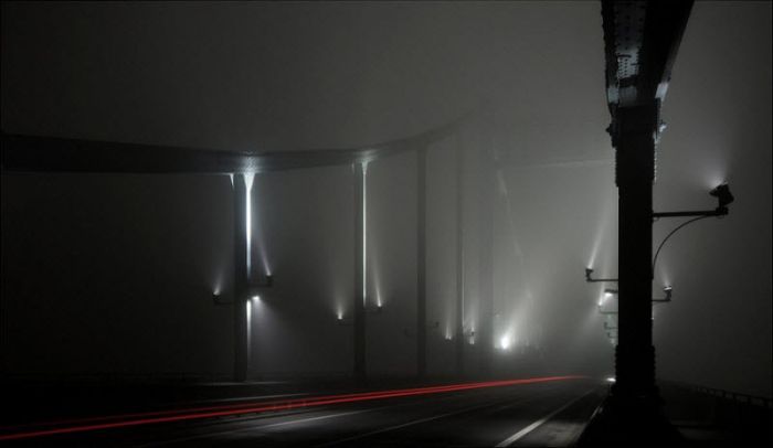 Fog (101 pics)