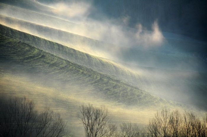 Fog (101 pics)