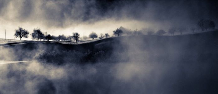 Fog (101 pics)