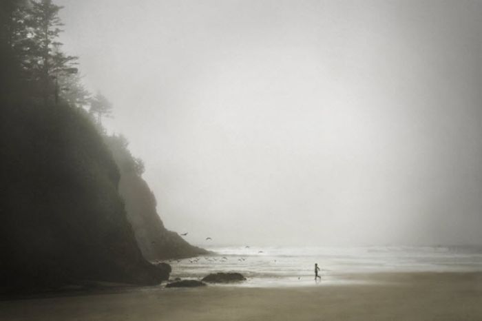 Fog (101 pics)