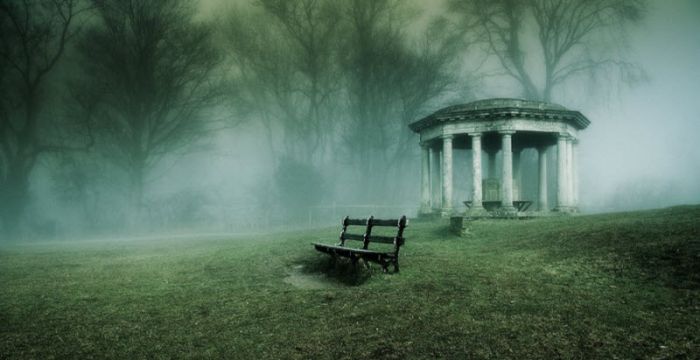 Fog (101 pics)