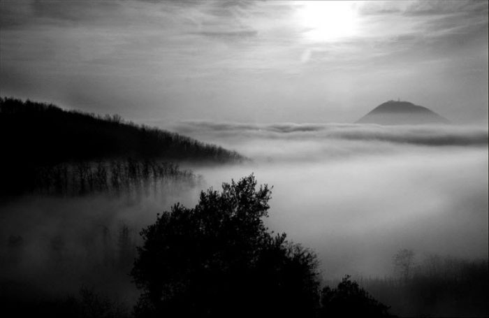 Fog (101 pics)
