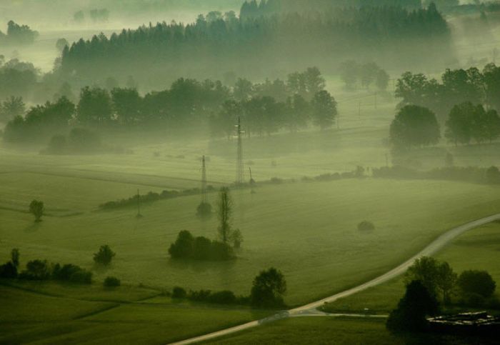 Fog (101 pics)