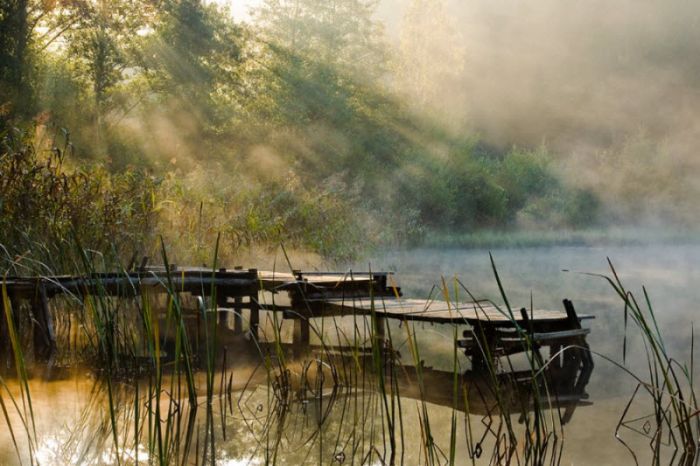 Fog (101 pics)