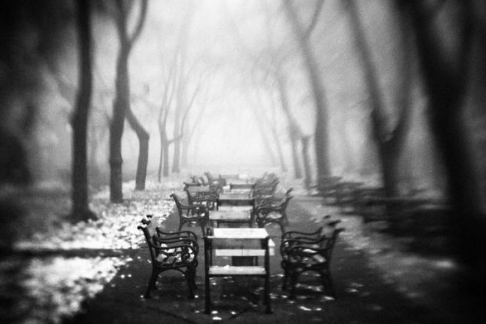 Fog (101 pics)