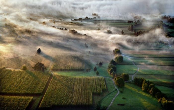 Fog (101 pics)