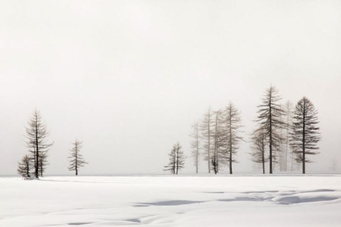 Fog (101 pics)