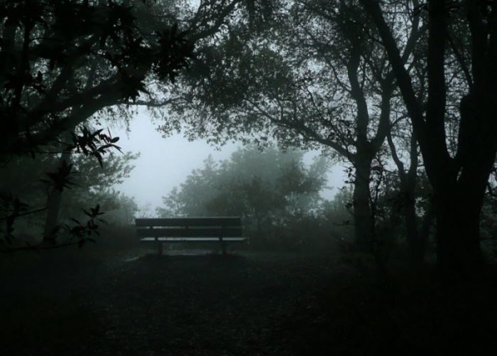 Fog (101 pics)
