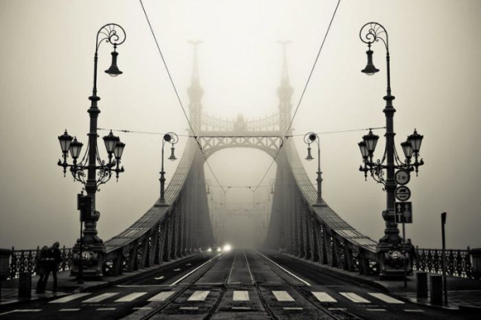 Fog (101 pics)